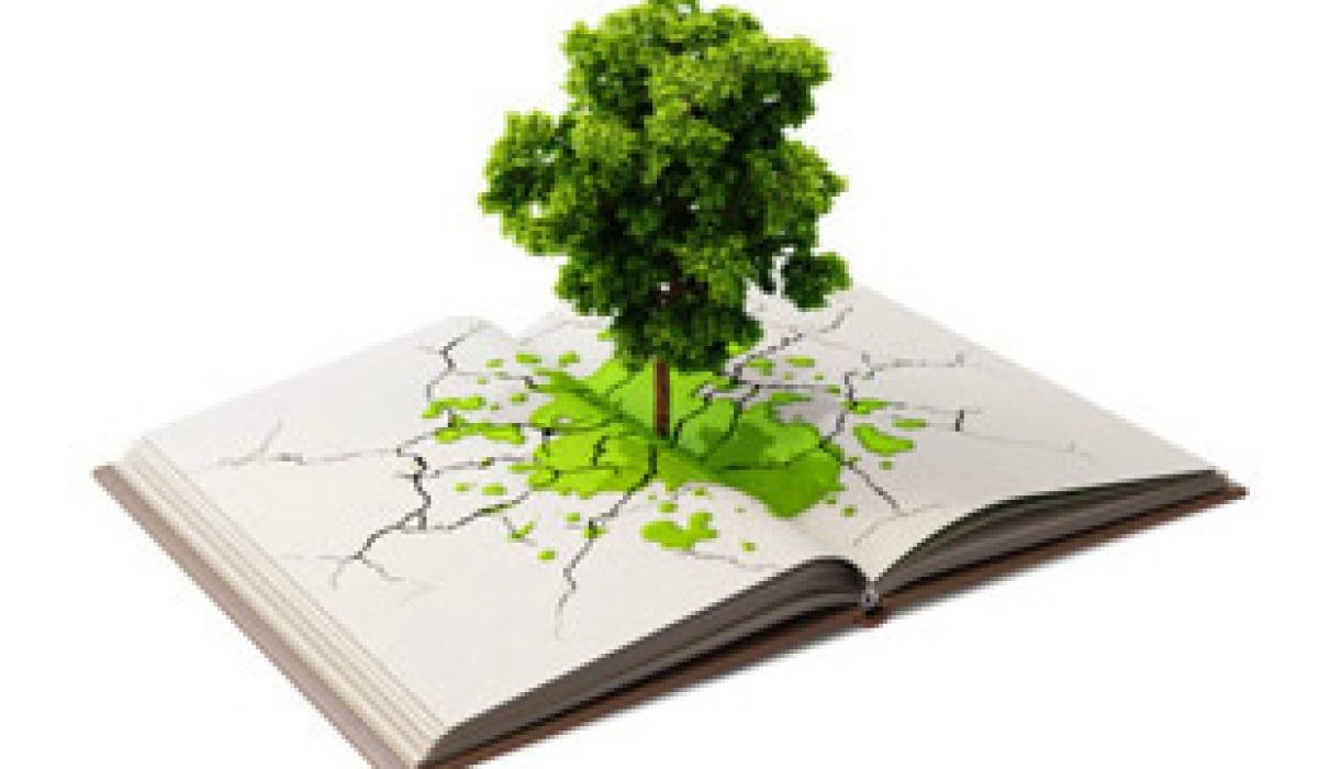 Классификация и виды минеральных удобрений