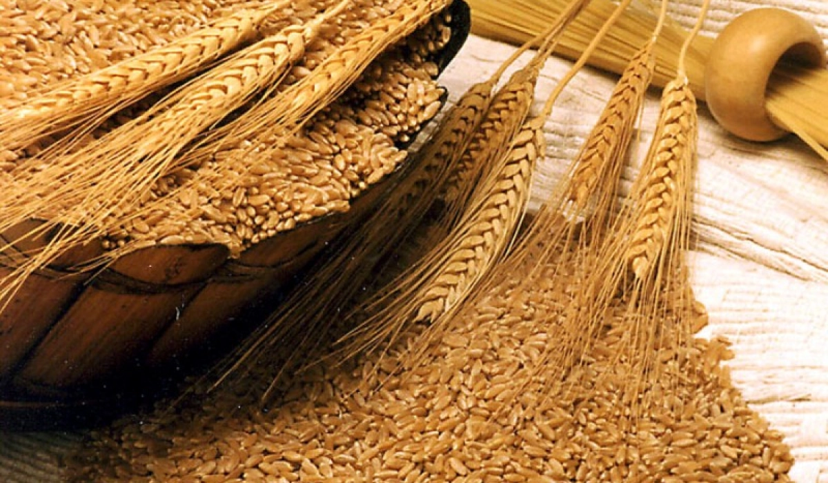 Очистка зерна и типы машин для осуществления этой цели