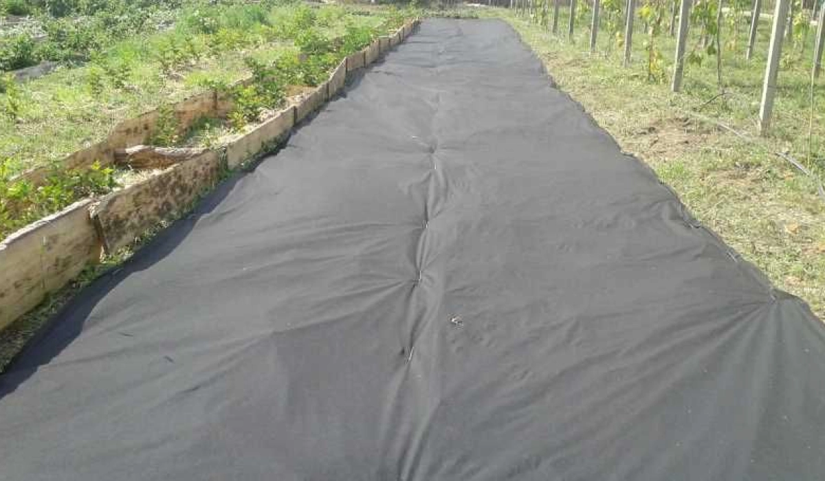 Агроволокно: типы, назначение, особенности использования