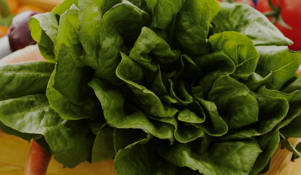 Электронная бизнес-площадка для аграриев: покупать и продавать оптом – просто