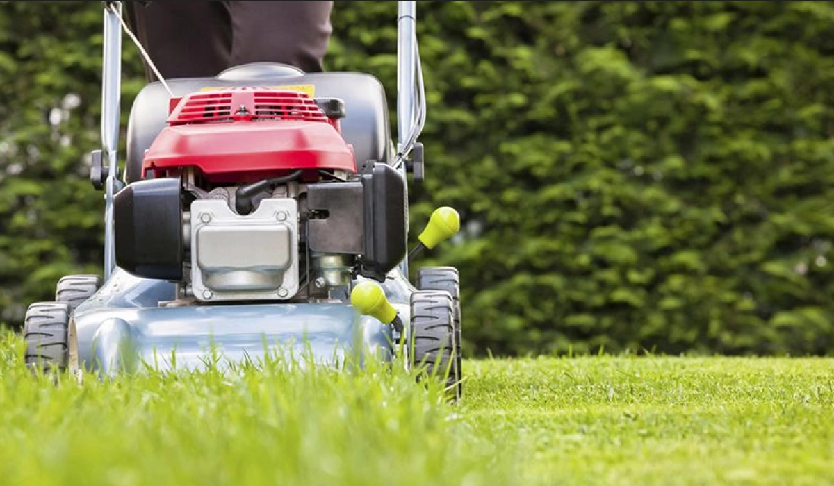 Какая садовая техника нужна для ухода за газоном