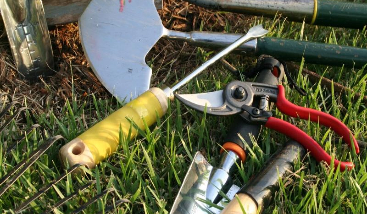 7 самых необходимых ручных инструментов для сада и огорода