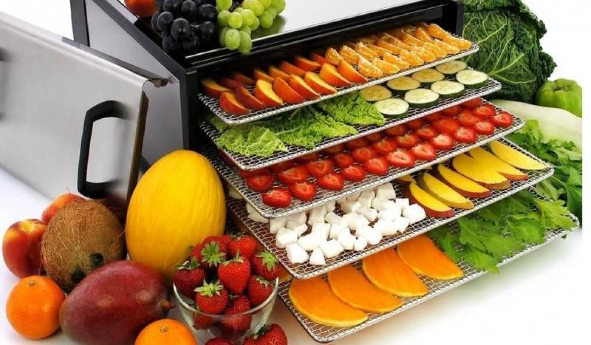Как выбрать дегидратор для сушки фруктов и овощей