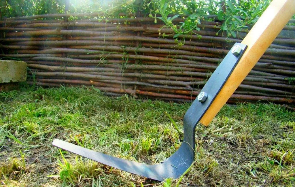 Useful Tips for Those Who Decided to Take Up Organic Gardening — иллюстрация 2