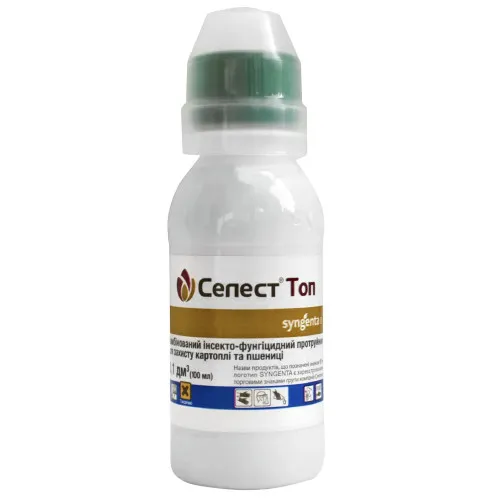 Celest Top