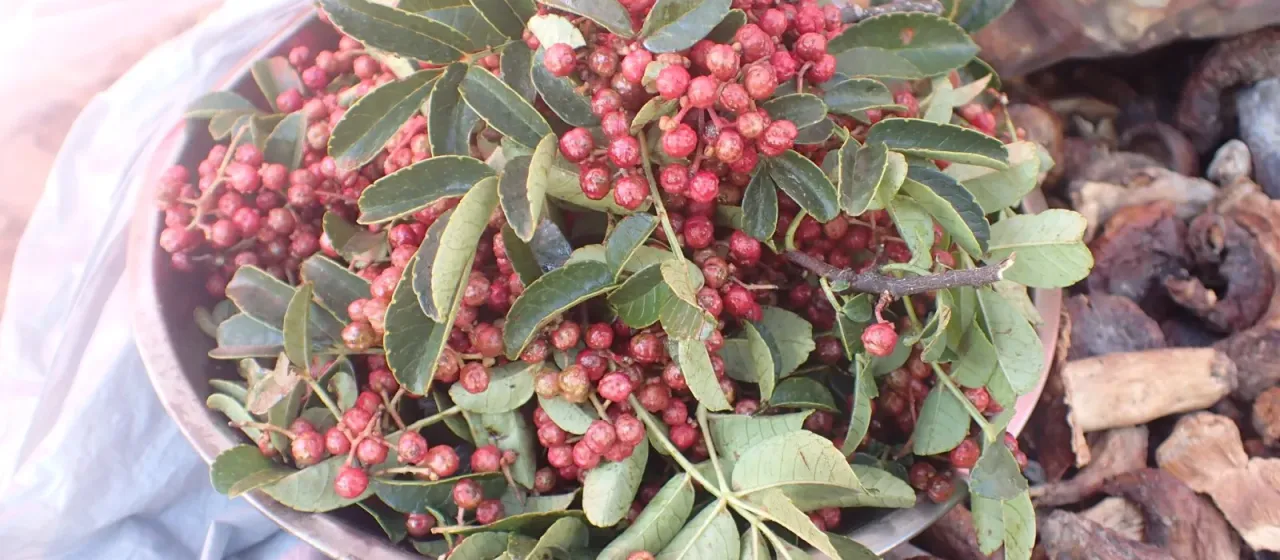 Szechuan pepper
