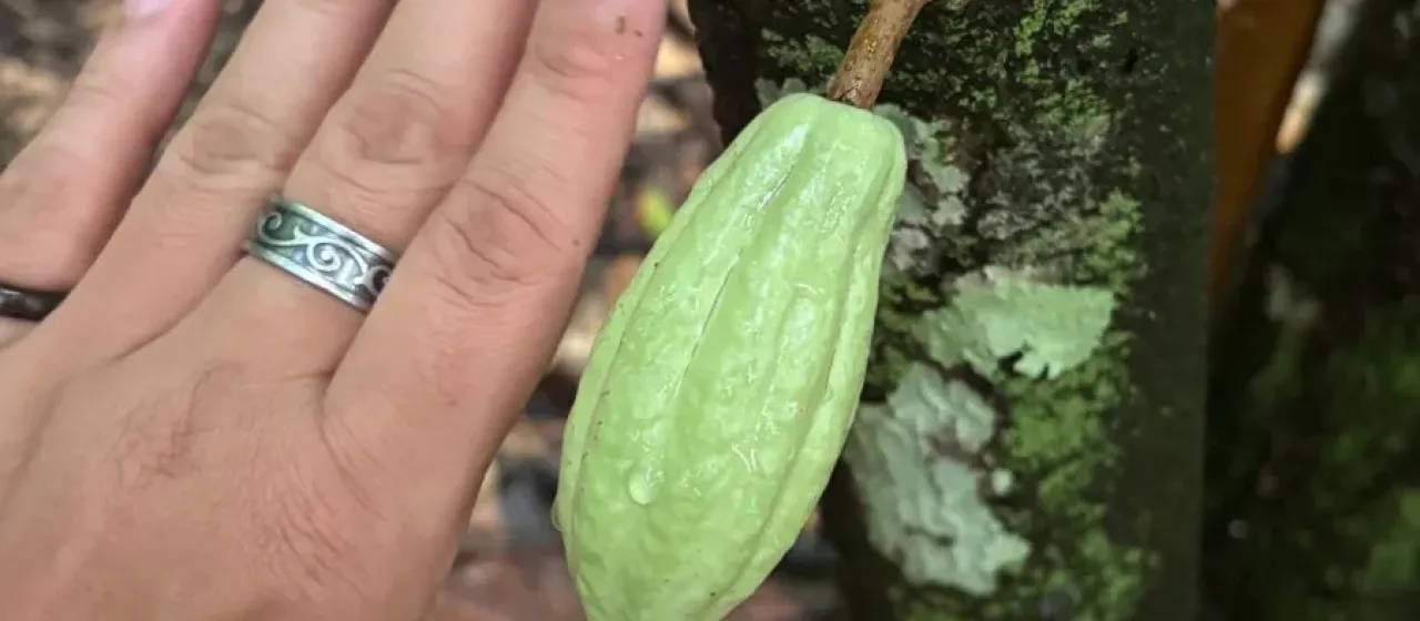 Какао