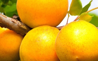 Кичигинский