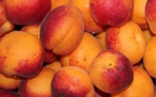 Колхозный / Колгоспний