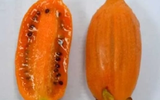 Два плода актинидии: один целый, другой разрезанный пополам, показывающий семена - Помаранчева