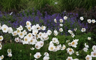 Совершенство