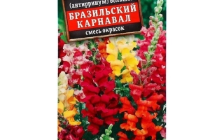 Бразильский Карнавал Красный