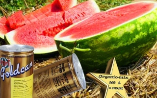 АУ-Продюсер, ПВП