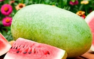 Charleston Gray Deluxe