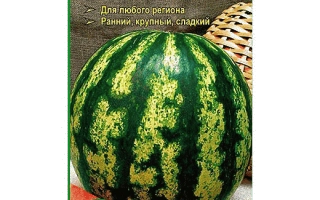 Пакет семян арбуза Галактика с изображением плода