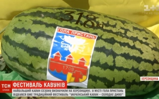 Арбуз с этикеткой «Голопристанский»