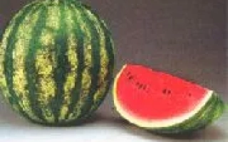 Арбуз Гранит F1: целый плод и срез, показывающий красную мякоть