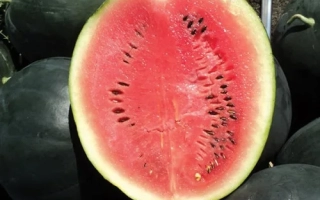 Срезанный арбуз Гуельва на фоне целых плодов - Гуелва