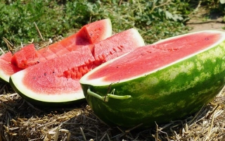 Срезанный арбуз на сене - Карминный