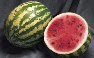 Два арбуза — целый и разрезанный, на тёмном фоне - Мадера F1