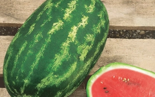 Арбуз Nelson F1 на деревянной поверхности - Нельсон F1