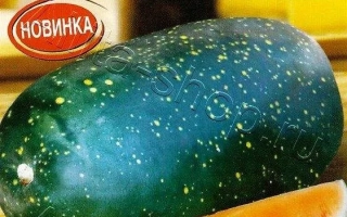 Оранжевый Король