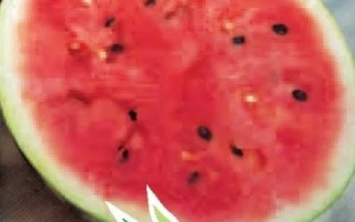 Срез арбуза с логотипом Елісорт на упаковке семян - Парадиз F1