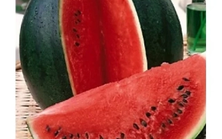 Пивничне Сяйво