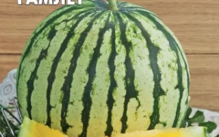 Принц Гамлет