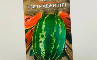 Ройал Меджести F1