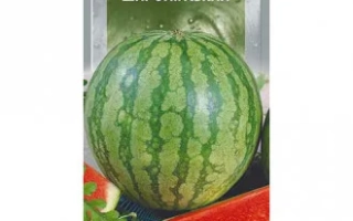 Широнинский (осенний)