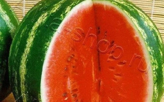 Солодкий Діамант