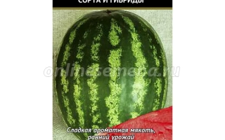 Содим (Волгоградський)