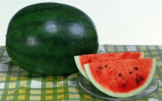 ШУГА ДЕЛИКАТА F1