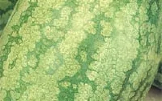 ЮБИЛЕЙНЫЙ 72