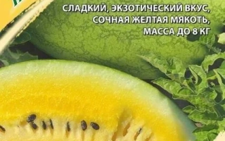 Желтый Слоненок