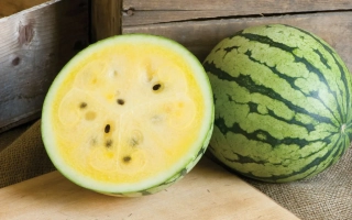 Золотой Реванш