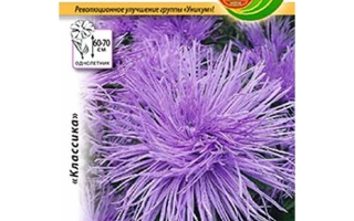 Пакет семян астры импикс водолеей с изображением фиолетового цветка - Таловчанка