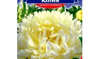 Astra Yulia seeds on packaging