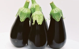 Четыре баклажана сорта Блек Перл на белом фоне