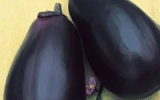 Насіння баклажана Філімон на упаковці з зображенням плодів - Филимон