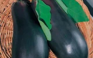 Насіння баклажана Кашалот на упаковці