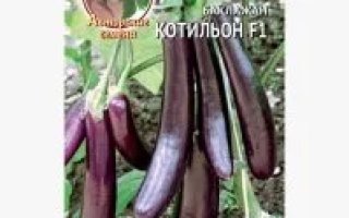 Пакет семян баклажана КОТИЛЬОН F1 на фоне растения