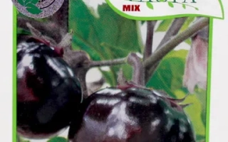 Пакет семян баклажана Лаура с изображением плодов