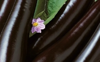 Семенной пакет с баклажаном F1 ЛАВА