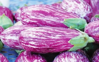 Лиловий ранок