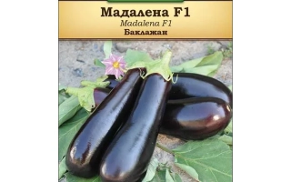 Пакет семян баклажана Мадалена F1
