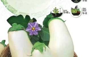 Мрія Грибника