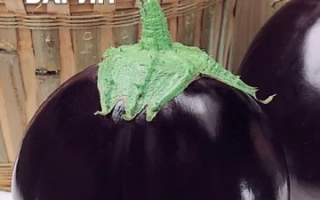 Толстый Барин