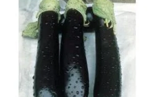 Валентина F1